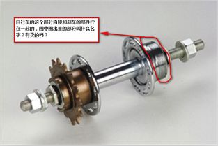 自行车后车轴常见问题及零配件零售解决方案