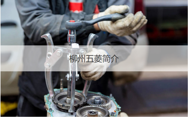 柳州五菱 从自行车零售到汽车巨擘——工资待遇与企业发展历程